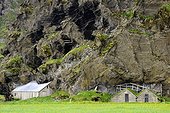 Houses in cliff area Skogar - Iceland 