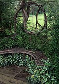 Dead-nettle in a resting place of a garden