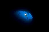 Diver descends into a blue hole - Raja Ampat  Indonesia