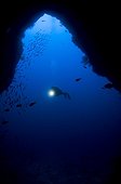 Diver silhouette in blue hole - Raja Ampat  Indonesia
