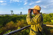 Straw-coloured fruit bat observatory - Kasanka NP  Zambia