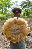 Man and mushroom - Kasanka Zambia
