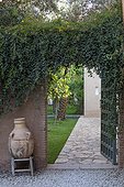 Cat's claw in a garden in Morocco ; Landscapers: Ossart and Maurières<br><br>