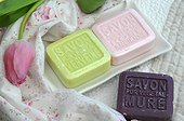 Vegetable soap of different perfumes and Tulip 