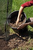 Maintenance of a fruit tree in a garden