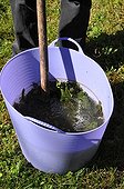 Mixing of a plants manure in a garden