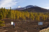 Caldera Landscape of Teide National Park - Tenerife Spain