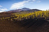 Caldera Landscape of Teide National Park - Tenerife Spain