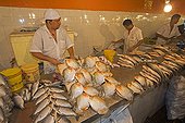 Fish market in Manaus - Amazonas Brazil 