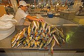 Fish market in Manaus - Amazonas Brazil  ; Butterfly peacock bass