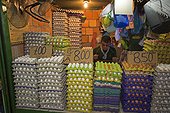 Etal egg market in Manaus - Amazonas Brazil 