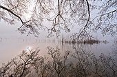 Winter lights on the lake de Barterand - Bugey France 