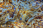Polarization and diffraction in a puddle of oily water ; Broken light and diffracted by a thin layer of oil (engine oil or bacterial activity?) In a puddle in the forest