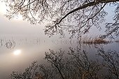 Barterand lake at dawn in winter - France Bugey 