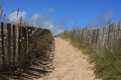 Ganivelles dune protection - Brittany France 