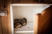 Dormice hibernating in the closet of a fishing lodge-France 