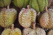 Durians on a stall - Thailand 