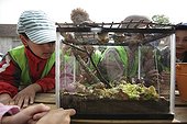 Watching a terrarium - At School of Biodiversity ; Project implemented by the Champagne Ardenne region to sensitize children to school on Biodiversity.<br>The AFPAN Green Gold is involved in this project for regional photographers working on this project.