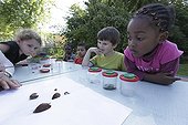 Inventory of insects - At School of Biodiversity ; Project implemented by the Champagne Ardenne region to sensitize children to school on Biodiversity.<br>The AFPAN Green Gold is involved in this project for regional photographers working on this project.