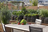 Kitchen garden built on a building roof top in a city ; Landscaper: Benoit Bourdeau 