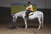 Femme paraplégique sur cheval dans un centre d'équithérapie ; Roxane 38 ans handicapée et en fauteuil depuis la naissance aime monter depuis 14 ans qu’elle se rend au centre. Elle fait du trot et des exercices d’équilibres qui lui permettent en plus du plaisir d’être au contact du cheval de développer ses muscles.<br>Equithérapie en partenariat avec l'Association AAAEPAD et Ariel Pagani équithérapeute<br>Asociacion Argentina de Actividades Ecuestre para Discapacitados<br>