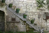 Plants in pot on a stone stairs