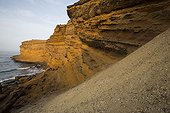 Coastal cliffs - Reserve of Paracas Peru 