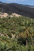 Village of Misfat Al A' briyeen - Oman
