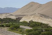 Oued in the valley of Poroma - Nazca Desert Peru