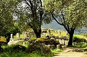 Site archéologique de Filitosa - Corse France