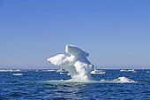 Iceberg en mer de Beaufort - Ile Barter Alaska USA