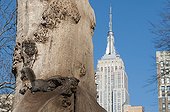 Squirrel on a tree with Empire State building on background