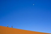 Tourists climbing Dune 45  - Soussvlei - Namibia ; Its name comes from the fact that it is at the 45th kilometer of the road that connects the Sesriem gate and Sossusvlei.It is climbed every day by many tourists.