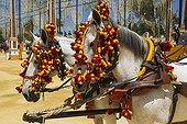 Decorated horses at the Feria del Caballo - Andalusia Spain