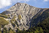Folds in the limestone massif des Ecrins - Alps France