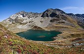 Blueberry in autumn color and lake Jovet - Alpes France 