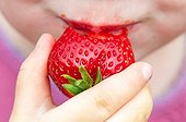 Little girl eating a strawberry