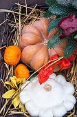 Basket of squashes for Halloween decoration