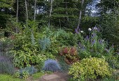 Flowered garden