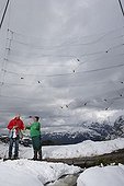 Released birds nets - Col de Bretolet Swiss Alps  ; Each year between 10 and 20 000 birds of 100 species are catch and rings at the Col de Bretolet, Valais, the Swiss Ornithological. 