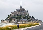 Old causeway and Mont Saint-Michel - Normandy France