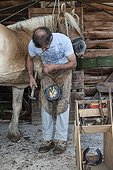 Blacksmith working on Trait Comtois horse - France ; Parrage and horseshoe poses