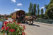 Draught horse pulling a travel trailer - France 