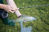 Presentation of an European Grayling fly fishing - France ; River Dessoubre 