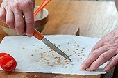 Harvest of tomato seeds ; Discard tomato seeds with knife