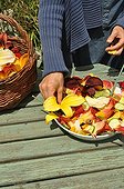 Hemerocalle flowers salad 