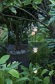 Garden lighting with candle jars