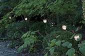 Garden lighting with candle jars