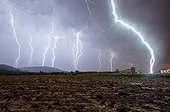 Storm in a very powerful Cevennes episode - France  ; An impact is 30 meters from the photographer. Three ascending tracers have occurred.<br>We see the main plotter in the lightning channel.<br>Rare and exceptional picture.<br>Overlay 10 photos 30 seconds.