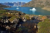 Icebergs in the Nordvest Fjord - Greenland 